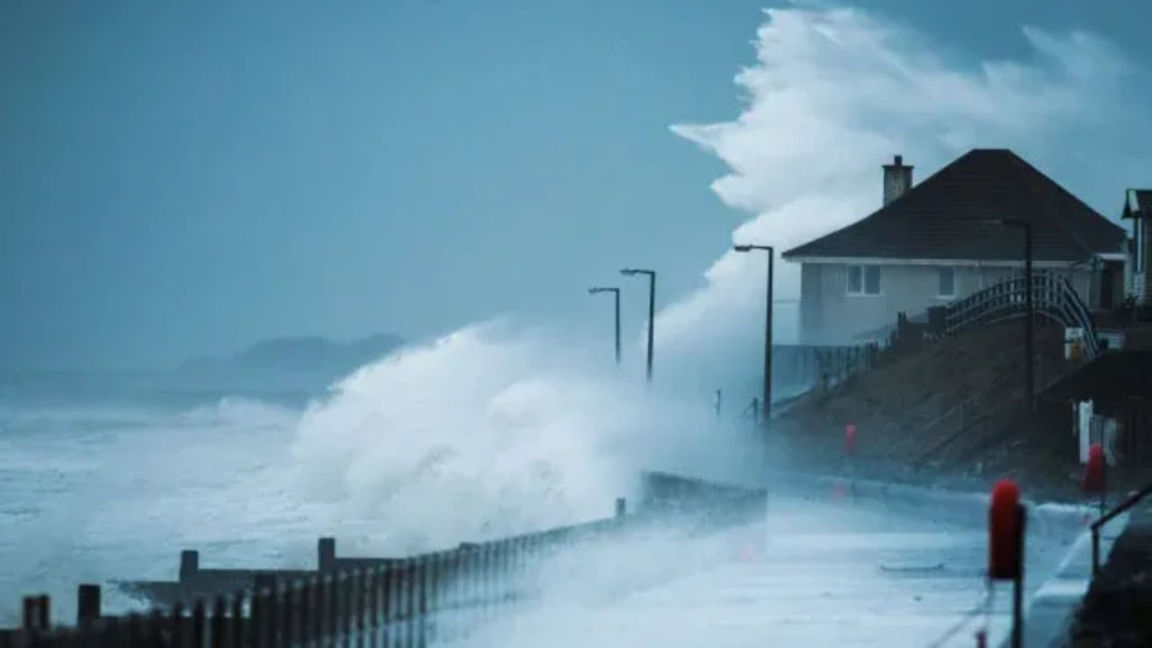 Adjuster License (In Person - TX)